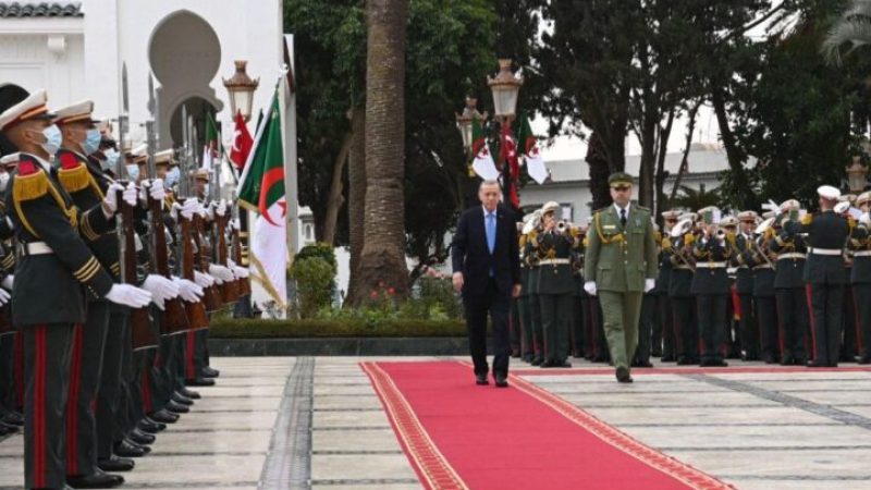 Erdogan Wraps Up Official Visit to Algeria, 13 Agreements, MoUs Inked