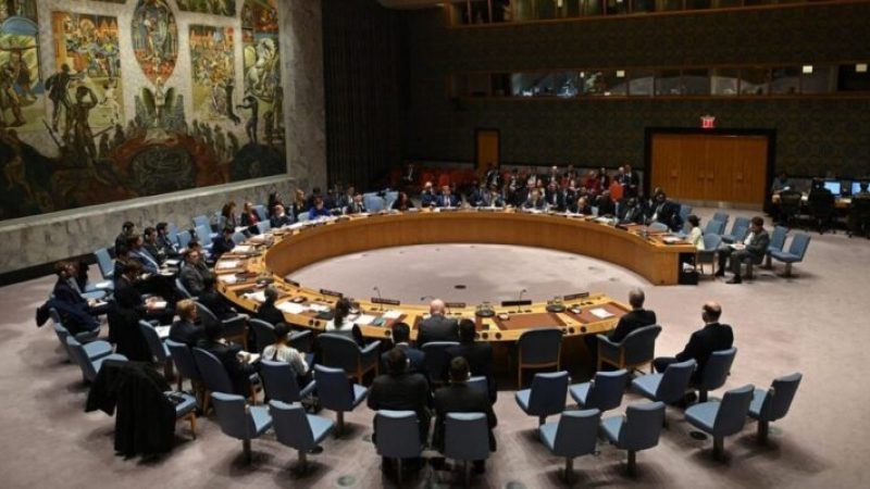 UN Security Council Fails to Reach Consensus on Humanitarian Ceasefire in Gaza