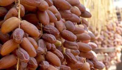 International Date Fair in Algiers: November 15-18, 2023
