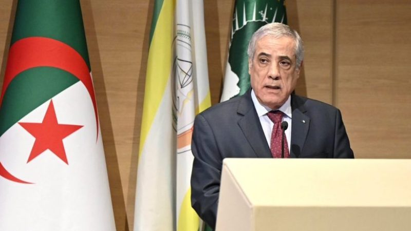 Algerian Prime Minister Larbaoui Receives Congratulatory Call from UAE Vice President
