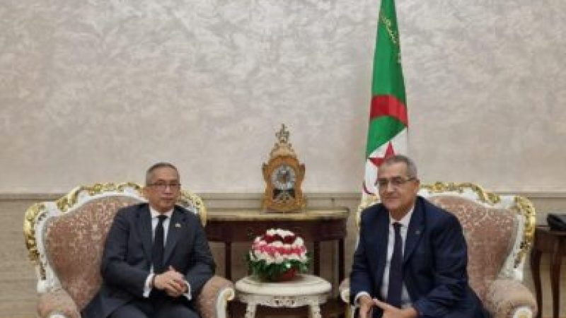 Indonesian Ambassador Attends Online Meeting to Strengthen Indonesia-Algeria Relations