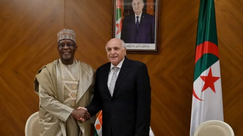 Algeria, Niger Hold Talks on Trans-Saharan Road Development