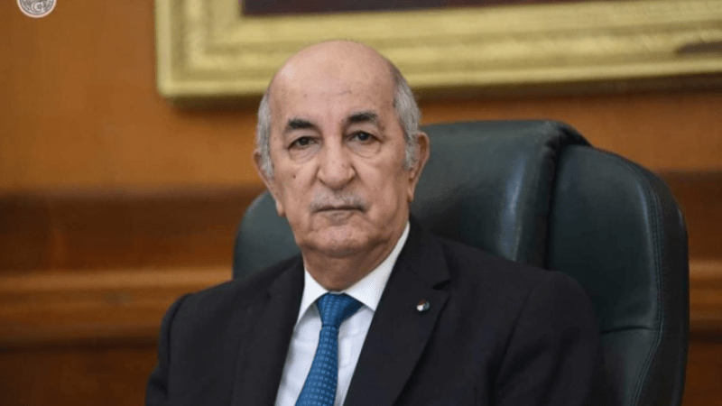 President Tebboune Appoints Rabia Kherfi as New Head of CNESE