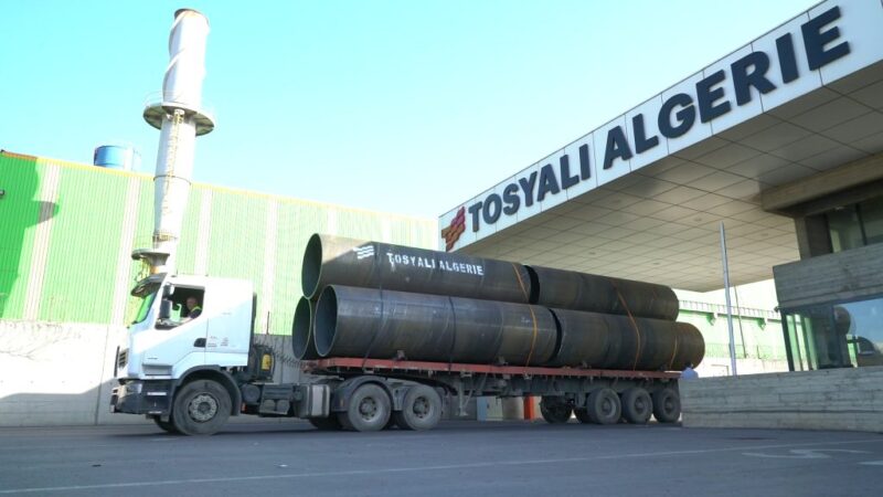 Tosyali Algeria Aims to Triple Exports with Launch of Flat Steel Plant