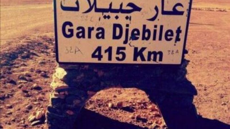 Algeria’s Gara Djebilet Mining Project: Future Regional Steel Industry Leader