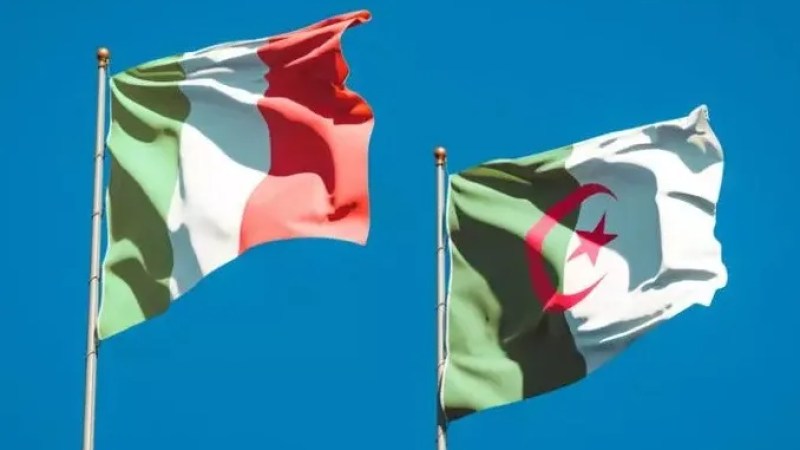 Algeria-Italy: Towards Satellite Surveillance Project for Agricultural Lands