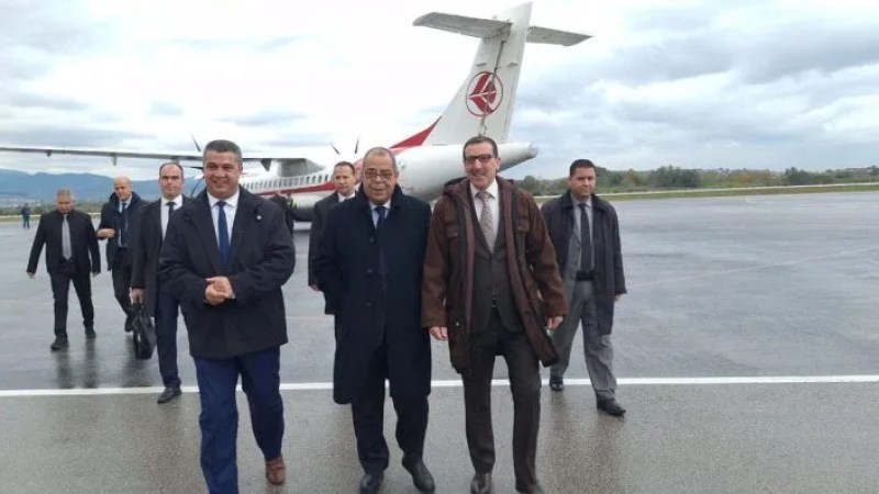 Algeria-Qatar Collaboration: Transformative Success in Bellara Steel Complex Defies Skeptics