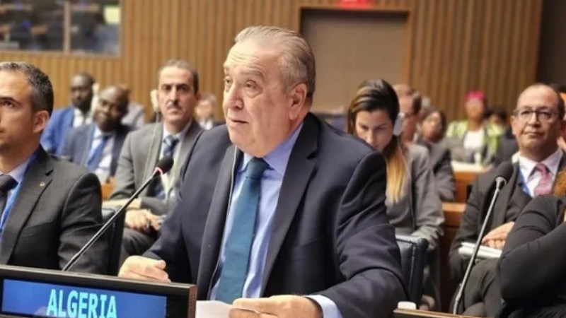 Algeria Abstains from Supporting UN Resolution on Yemeni Attacks in the Red Sea