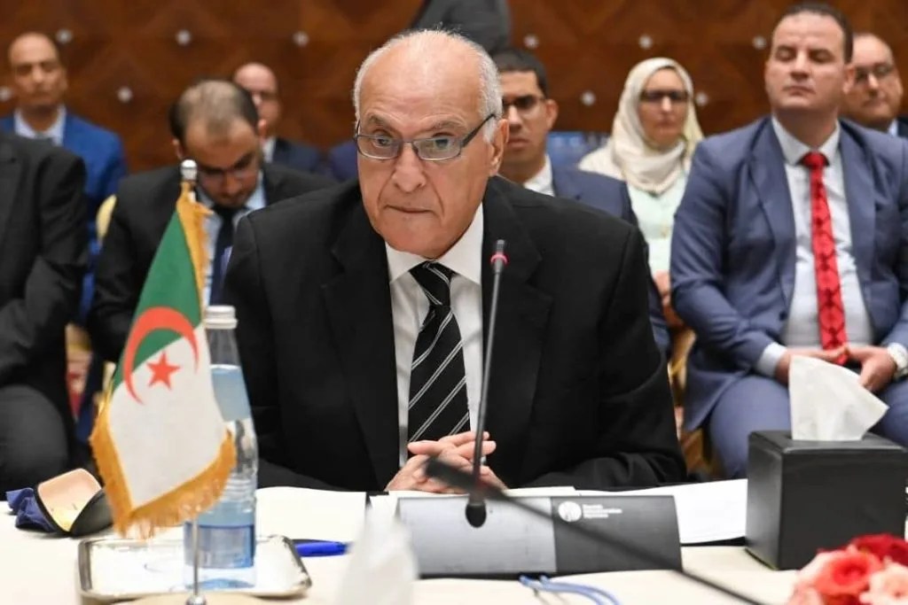 Italy-Africa Summit: Algerian FM Attaf Advocates for African Countries