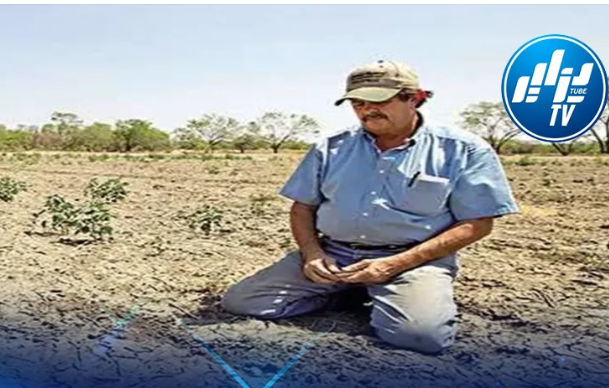 “Green Morocco” Plan Criticized for Failing to Ensure Affordable Agricultural Products for Moroccans