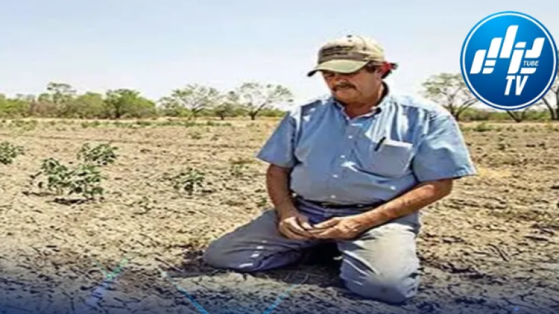 “Green Morocco” Plan Criticized for Failing to Ensure Affordable Agricultural Products for Moroccans