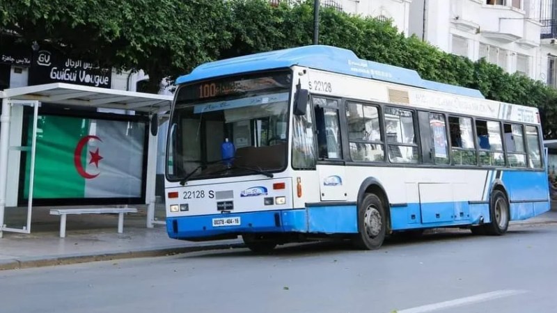 Transportation: ETUSA Launches Two New Bus Lines in Algiers