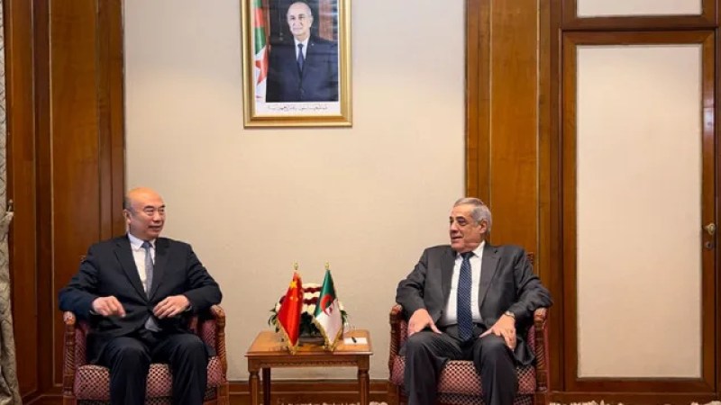 Algerian Premier Larbaoui Meets Chinese Vice Premier Liu Guozhong to Advance Bilateral Cooperation