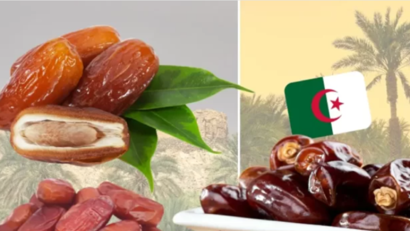 Date Exports: Projected Revenue to Reach $250 Million in 2024
