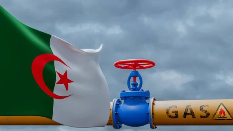 Algerian LNG Exports to Europe Surge by 25.6% in 2023