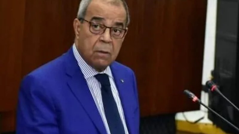 Minister Ali Aoun Addresses Rise in Iron Prices, Citing Distribution Issues