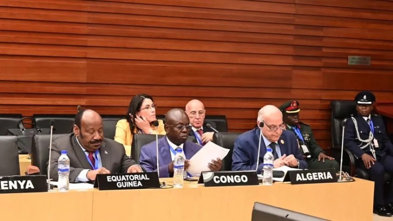 Algeria Outlines Three Priorities for UN Security Council Reform