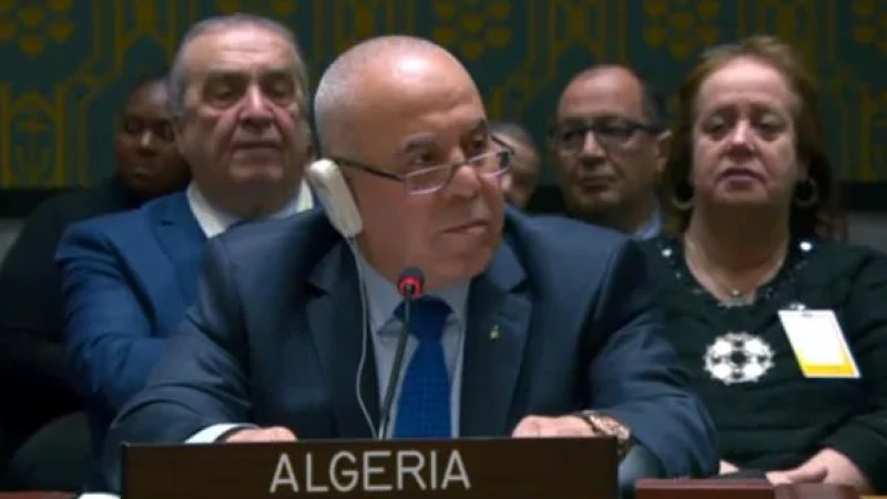 Minister Cherfa Stresses Link Between Food Security, International Law at UN Security Council