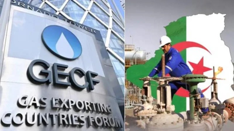 GECF Summit in Algiers Draws Praise from Foreign Press for Its Importance, Hospitality