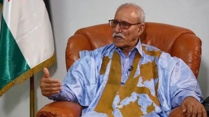 President of Sahrawi Arab Democratic Republic Ghali Advocates for Referendum as Middle Ground Solution for Western Sahara Issue