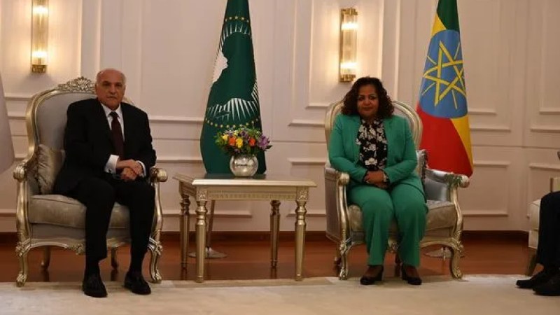 FM Attaf Represents President Tebboune at 44th Session of AU Executive Council