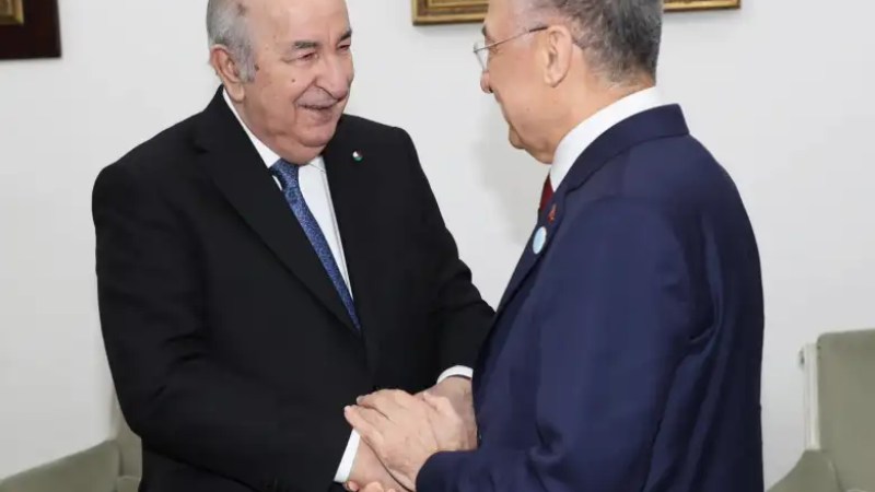President Tebboune Receives Chairman of Turkish National Assembly’s Foreign Affairs Committee