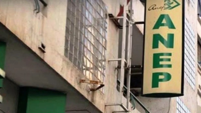 Leadership Change at ANEP: Sihem Derardja Dismissed, Messaoud Alghem Appointed New CEO