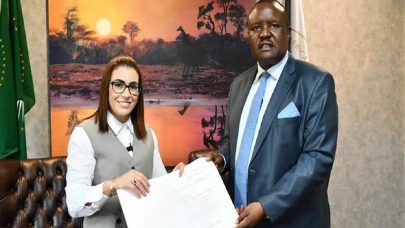 Algerian Behdja Lammali Appointed as Pan-African Ambassador for Peace and Security