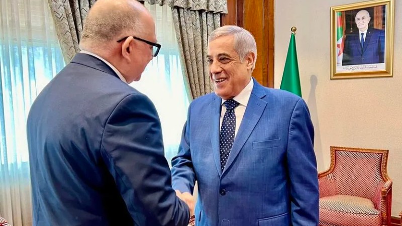 Algerian PM Larbaoui, Cuban Ambassador Armando Vergara Bueno Affirm Solidarity and Commitment to Address Global Issues