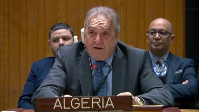 Algerian Representative Calls for Strong Response from UN Security Council to Zionist Strikes in Damascus