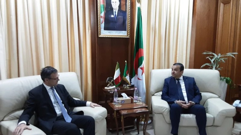 Minister Arkab Meets with Italian Plan Delegate for Africa
