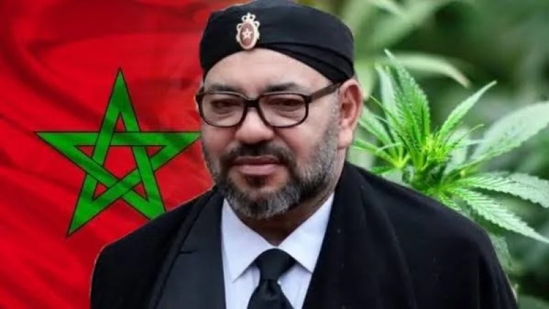 Moroccan Drug Gangs Flood Sahel with Narcotics: Kingdom of Opiates Threatens Africa, World