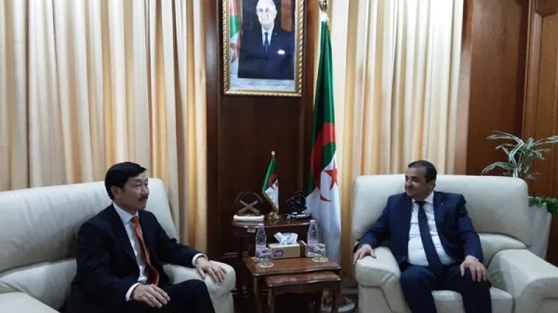 Oued Amizour Zinc Mine: Minister Arkab Meets with CEO of Australian Company "Terramin"