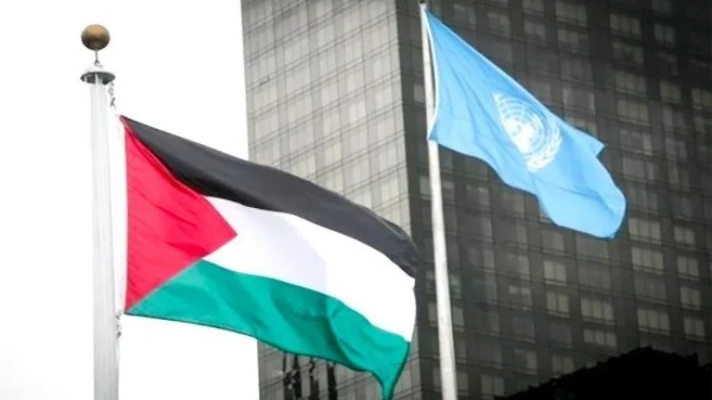 UN Security Council Fails to Adopt Resolution on Palestine's Membership