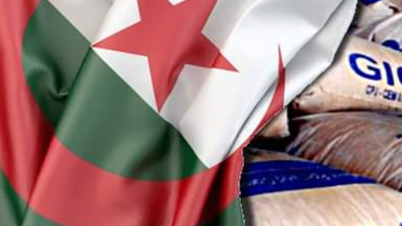 Aiming for Green Production: Algeria, 2nd Largest Clinker Exporter in the World