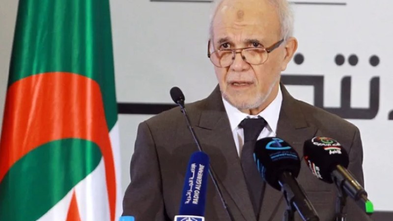 Algeria- Charfi on Upcoming Presidential Election: "Errors Will Be Completely Absent"