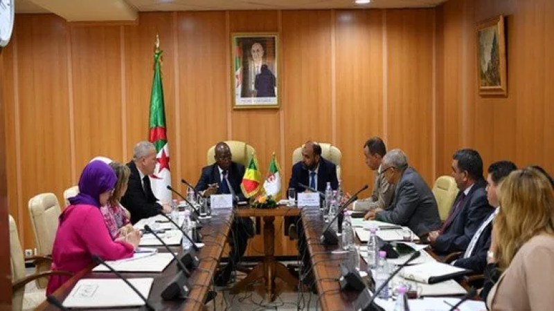 Algeria-Congo: Enhancing Economic and Commercial Exchanges