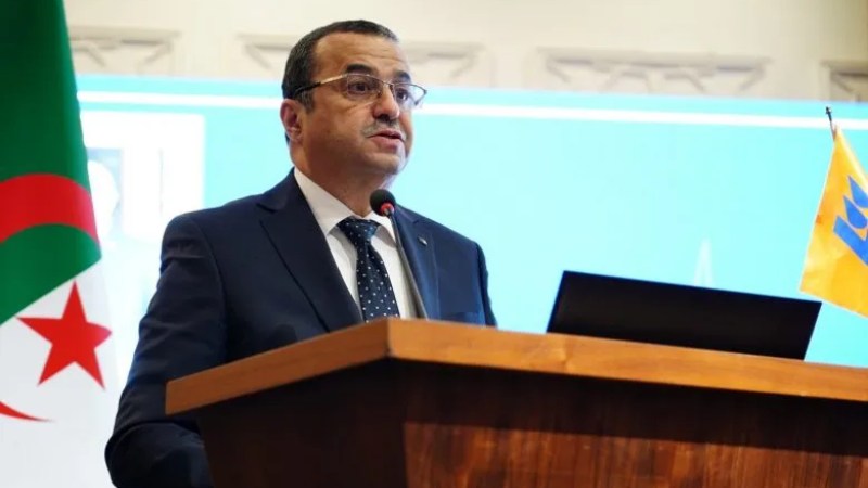 Algeria: Exceptional Achievements in Gas, Electricity Connection
