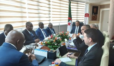 Algeria Ready to Support Electrification in Congo-Brazzaville