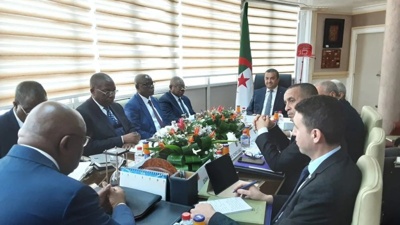 Algeria Ready to Support Electrification in Congo-Brazzaville