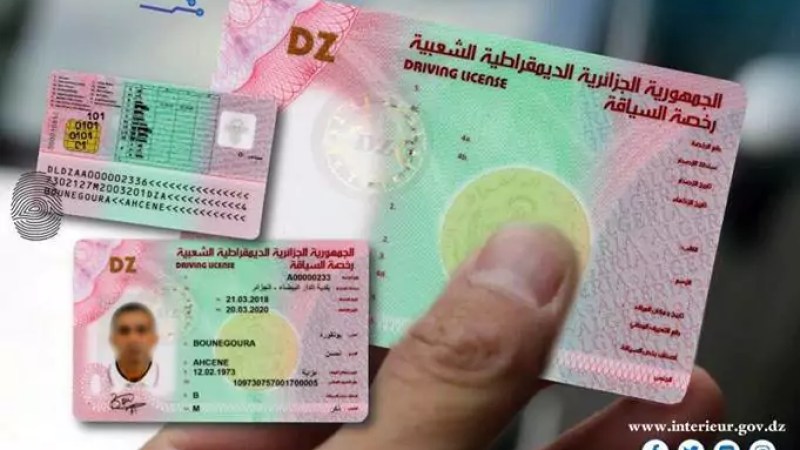 Algeria to Implement Points-based Driving License System by 2026