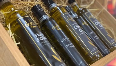 Algerian Olive Oil Dahbia Wins Gold Medal in Switzerland
