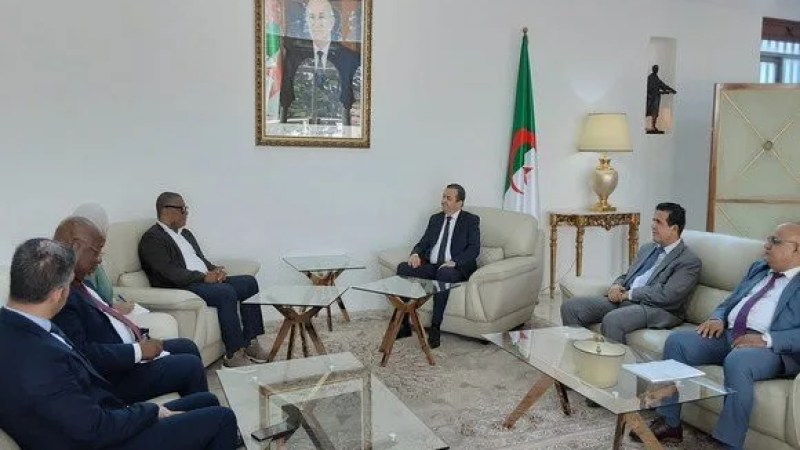Cooperation: Major Mozambican Delegation Arrives in Algeria