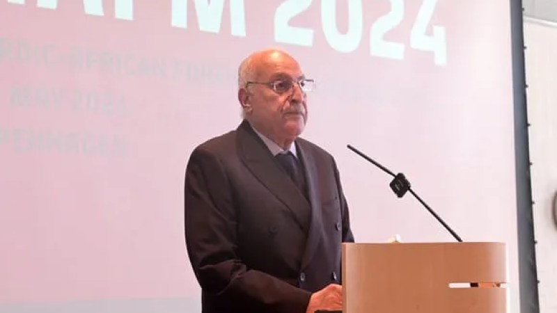 Highlighting Inability to End Palestinian Atrocities: Algeria's FM Attaf Points to Paralysis of Security Council