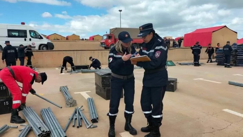 Large-Scale Earthquake Simulation Exercise in Bouira