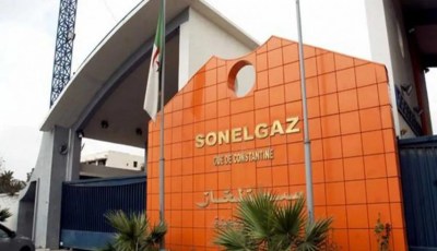 Sonelgaz’s Ambitious Investments in Africa: Following in Sonatrach’s Footsteps