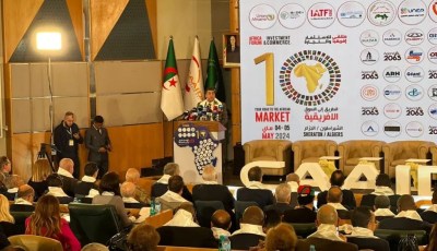 The AfCFTA: A Key Element for the Future of the African Economy
