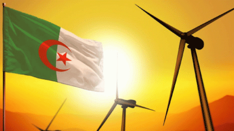 The Role of Wind Energy in Algeria’s Hydrogen Production: A New Energy Frontier