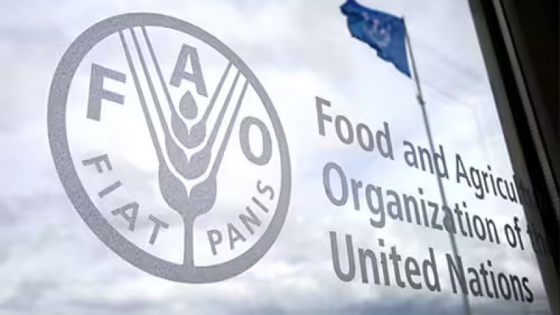 FAO Commends Algeria's Aquaculture Progress
