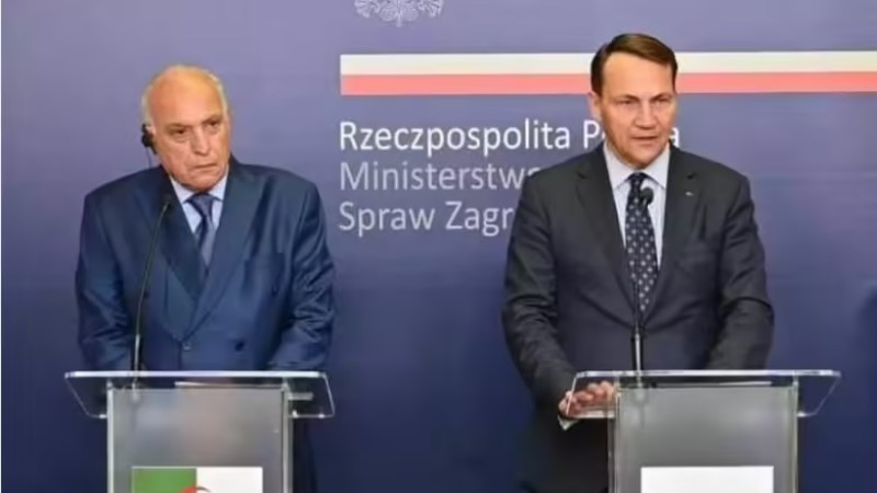 Algeria, Poland Establish Joint Working Group for Energy Cooperation